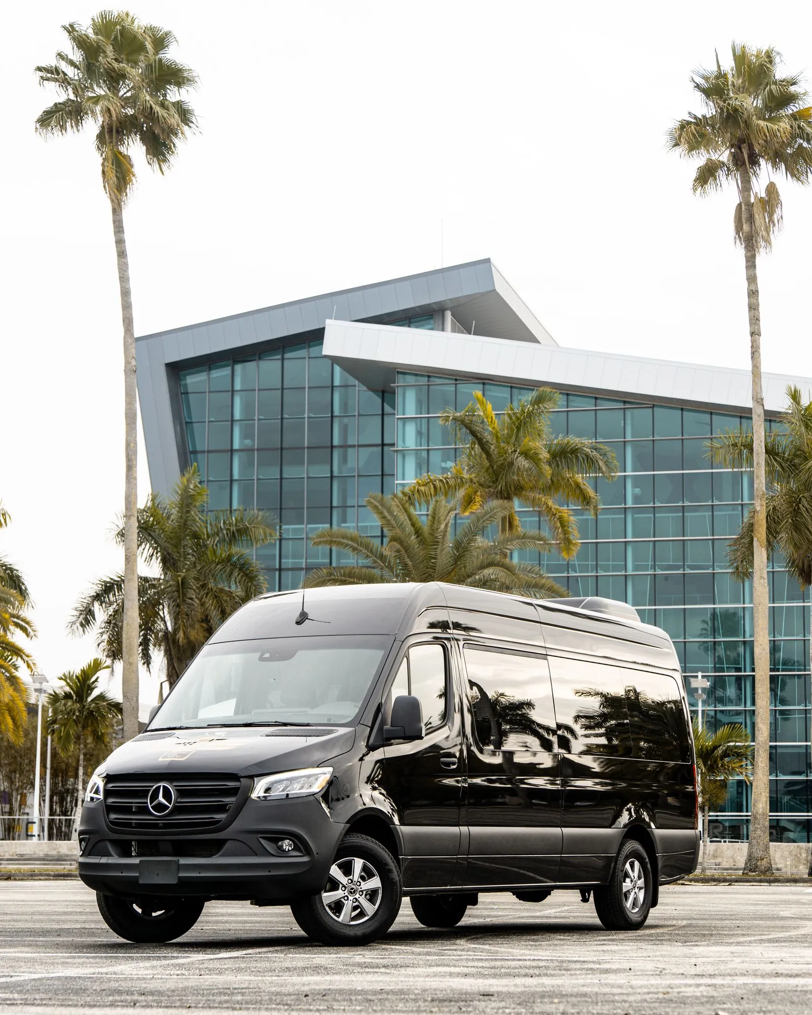 Milestone Birthday Party Transportation in the DMV